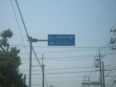 shizuoka4.jpg